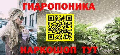 ECSTASY Шелехов