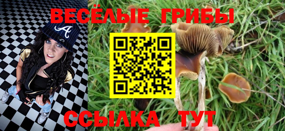 Галлюциногенные грибы Psilocybine cubensis Наро-Фоминск
