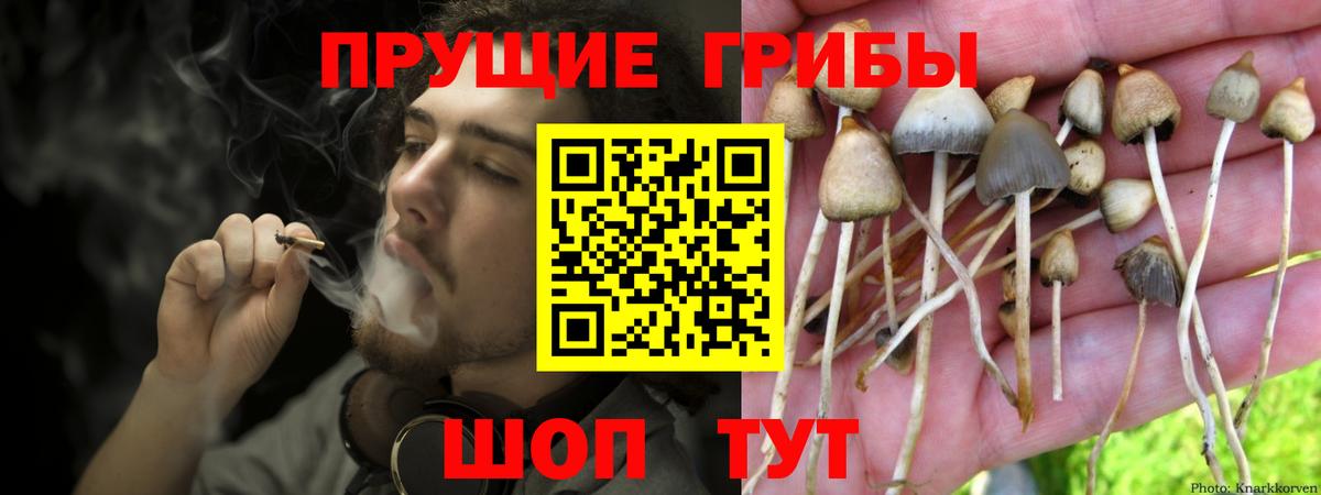 Наро-Фоминск  Псилоцибиновые грибы Magic Shrooms  Вход с VPN  Псилоцибиновые грибы MAGIC MUSHROOMS 